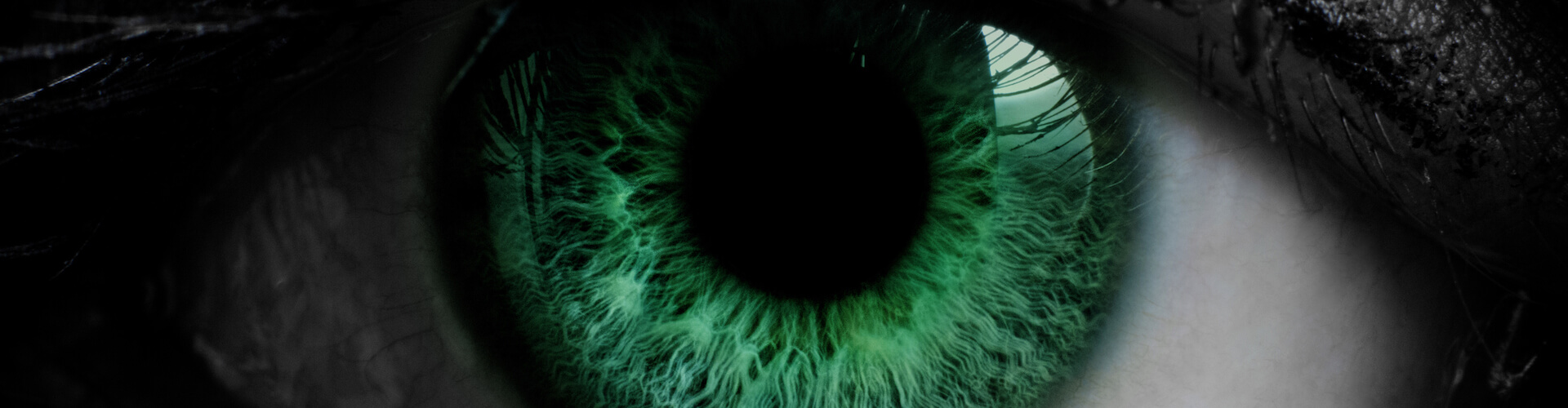 Ocular Regenerative Sciences