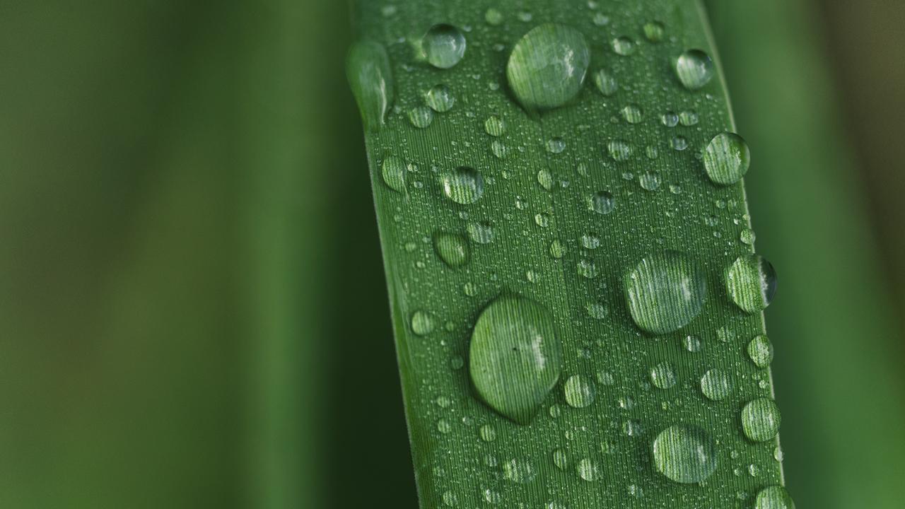 Biologics in the Dry Eye Mix  featured image